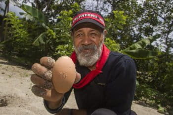 Eliza, a Haruku Kewang, is helping protect a local population of gosong birds. Photo credit: EcoNusa/Victor Fidelis