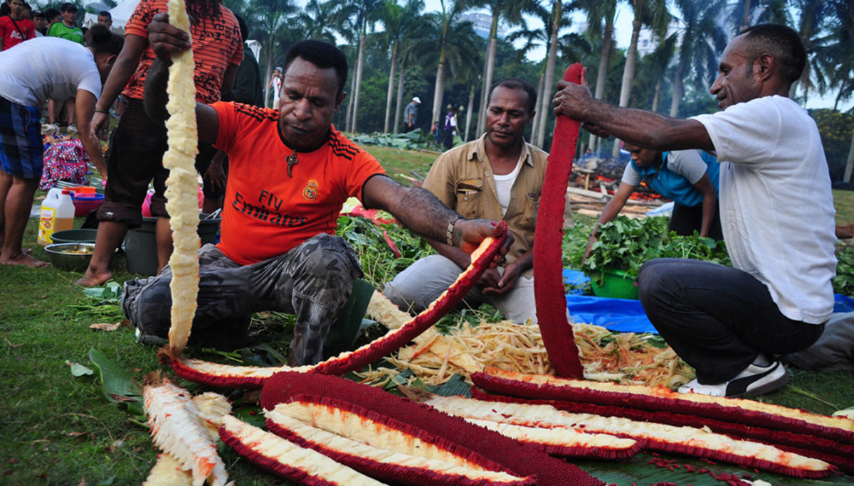 Papuans process red fruit (Pandanus conoideus) before consumption. Photo credit: Dani Kancil / EcoNusa