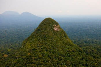 Sierra del Divisor. Photo credit: the Field Museum
