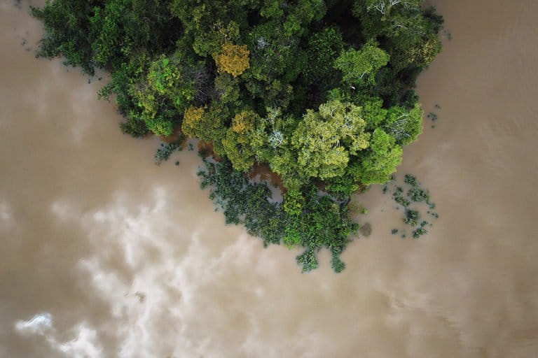 The Amazon. Photo credit: Rhett A. Butler