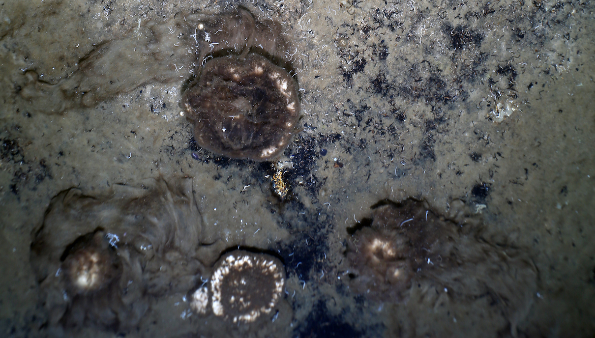 move water through sponge