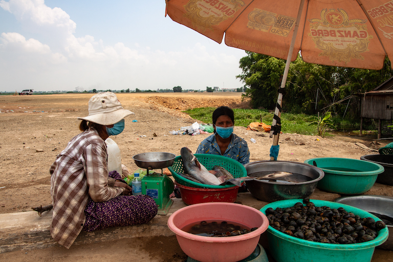 Roadside vendors selling fish and snails caught in Boeung Tamok. Image by Gerald Flynn for Mongabay.