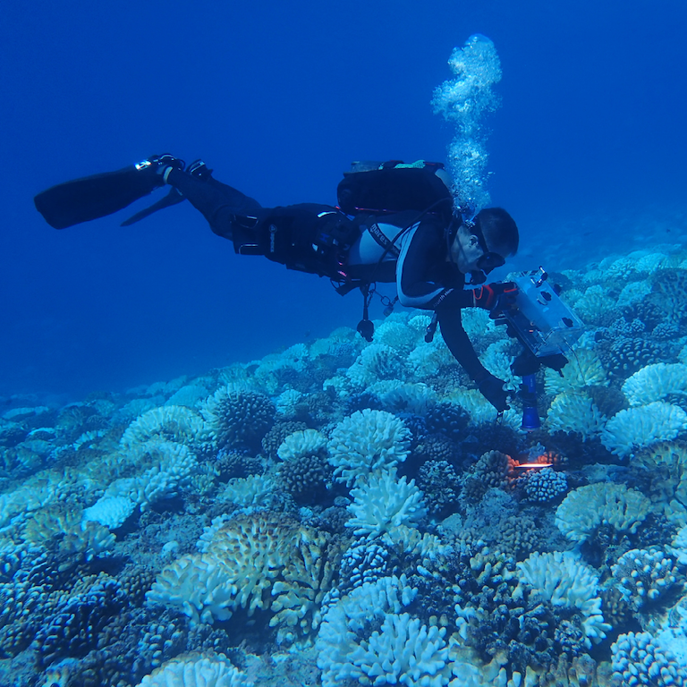 satellites coral reefs