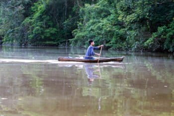 A member of the Indigenous Tikuna nation paddling a dugout canoe on a tributary of the Amazon in Colombia by Rhett A. Butler/Mongabay.