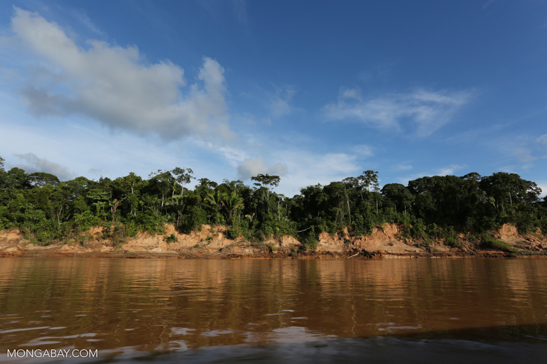 Rainforest along the Tambopata River. Image by Rhett A. Butler/Mongabay.