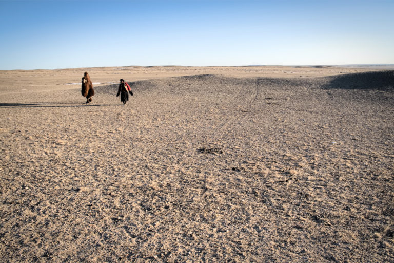 A herder with his camel in the Gobi Desert. 