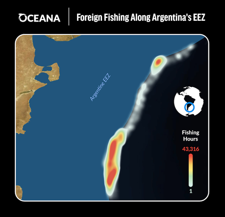 argentina illegal fishing