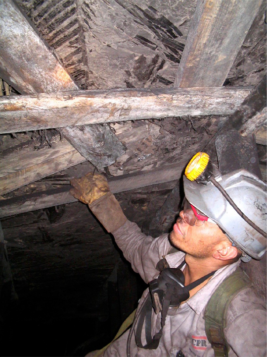 Mauricio Gutierrez, back then an undergraduate student at Universidad Pedagógica y Tecnológica de Colombia, collects fossil leaves within underground coal mines in Colombia. 