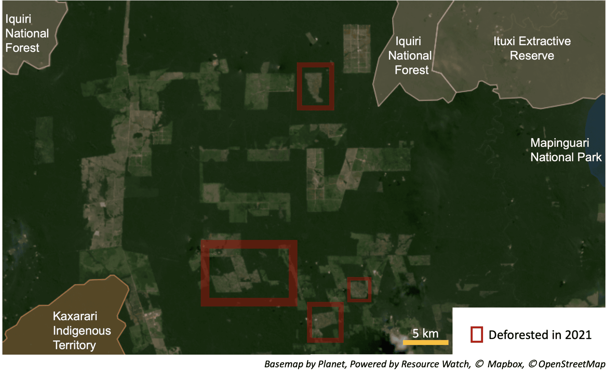 Another view of the region shows recent deforestation amid the surrounding protected areas. Forest fragmentation can restrict the movement of animals among protected areas. The effects of deforestation also extend beyond the boundary of the cleared area, causing “edge effects.”