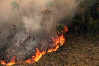 A fire burns in Xingu Indigenous Park in 2016. Image by Ibama via Wikimedia Commons (CC BY-SA 2.0).