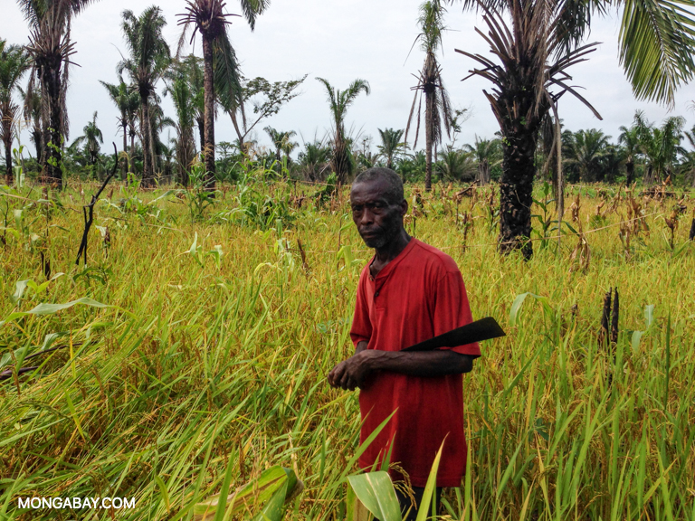 A farmer in his rice field in the Democratic Republic of Congo. Image by John C. Cannon/Mongabay.