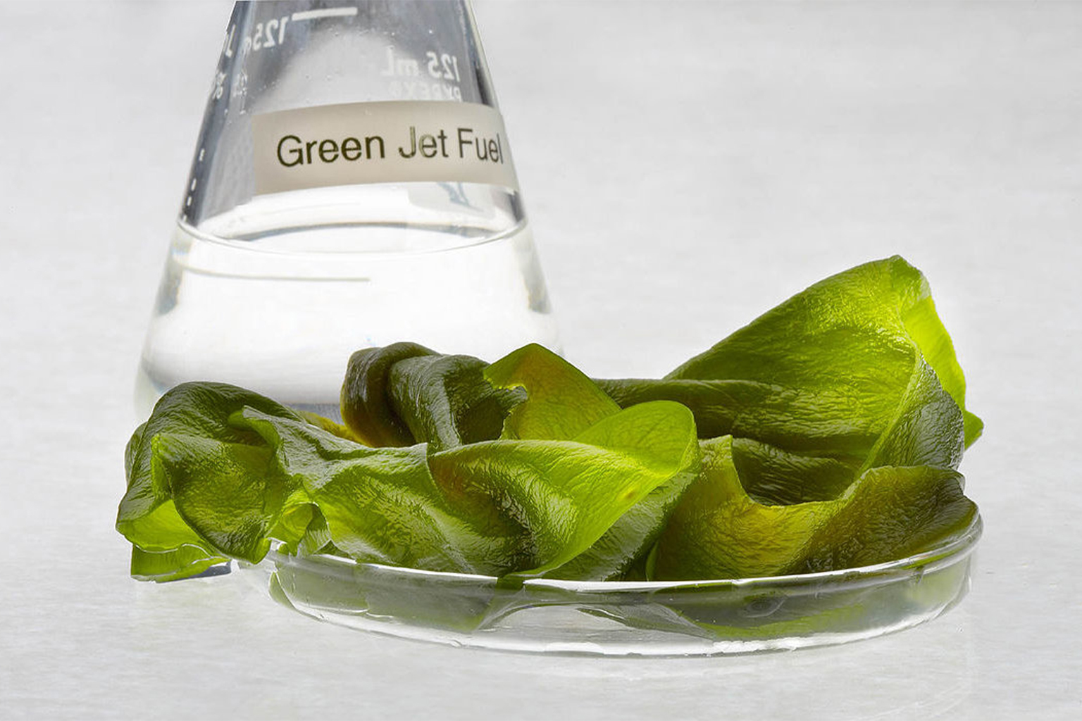 Playing the long game ExxonMobil gambles on algae biofuel