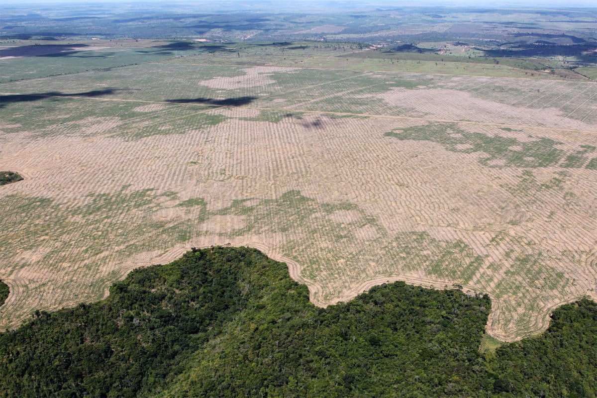 Amazon and Cerrado deforestation, warming spark record drought in urban