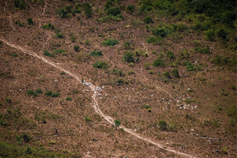 brazil drought case study