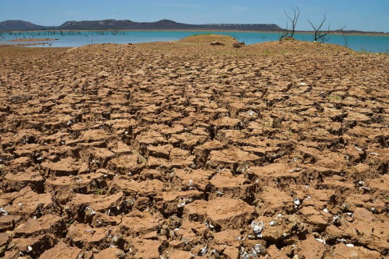 brazil drought case study