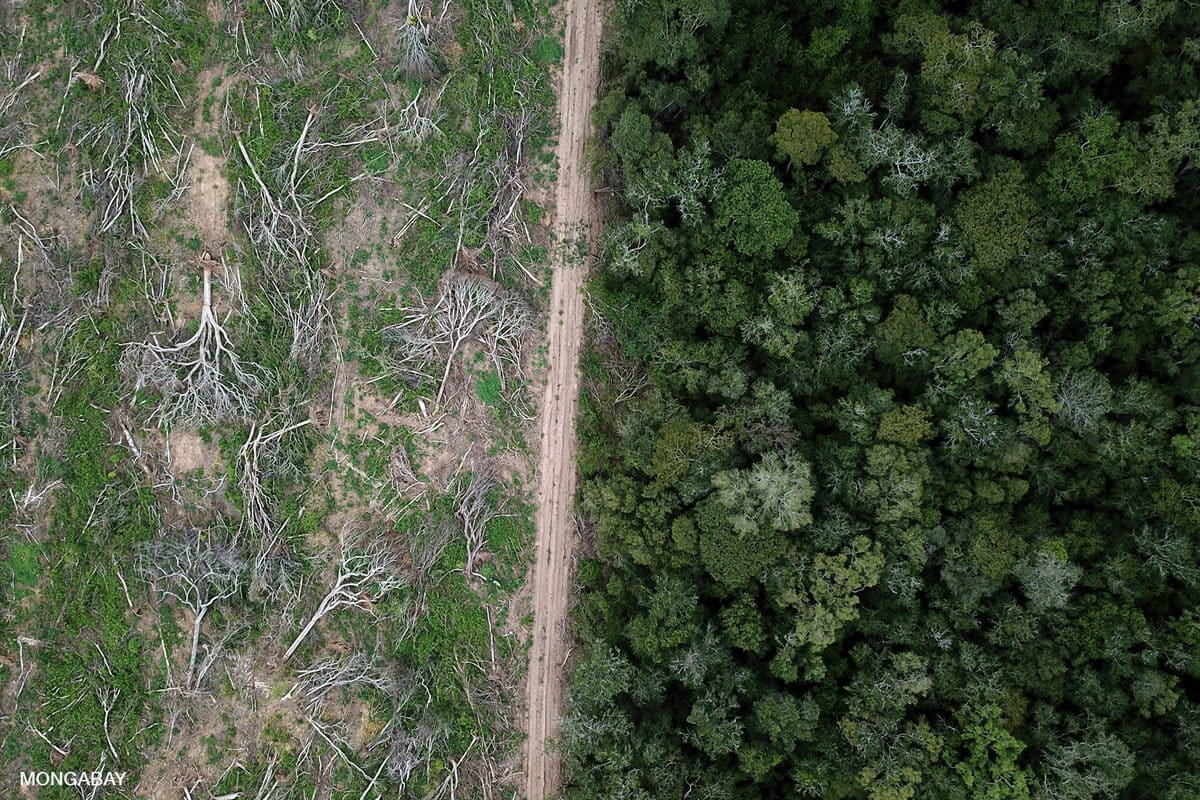 Soy farming in Brazil. When native vegetation is replaced by crops such as soy, corn or cotton, the underground water-storing capacity is disrupted. Photo credit: Rhett A. Butler