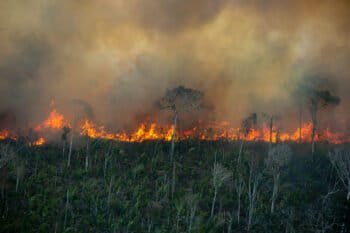 Fire line moves through a degraded forest area in an undesignated public forest area in Porto Velho, Rondônia on July 29, 2021. Photo © Christian Braga / Greenpeace