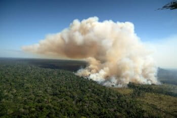 Fire in a recently deforested area in Aripuanã, Mato Grosso on Jul 30, 2021. Photo © Christian Braga/Greenpeace