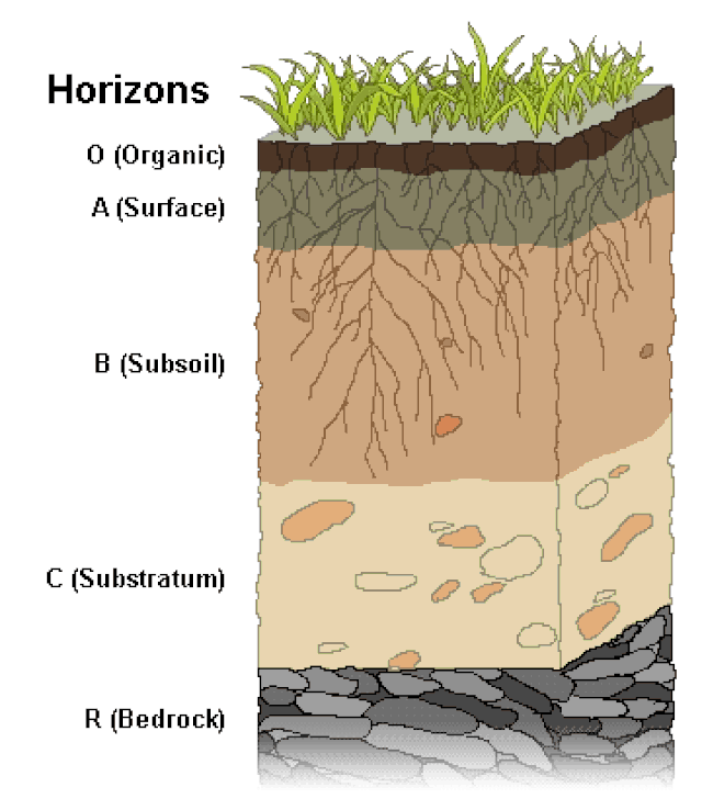 Soil and its promise as a climate solution A primer