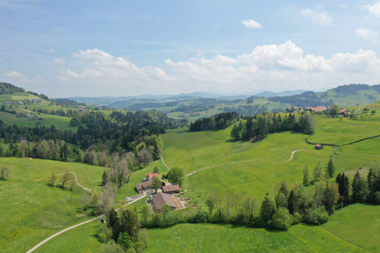 The Rietholzbach catchment in Switzerland