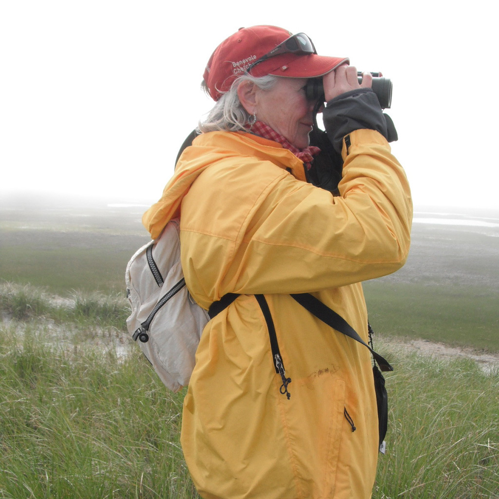 Birding on Cape Sable. Photo credit: Jane Alexander