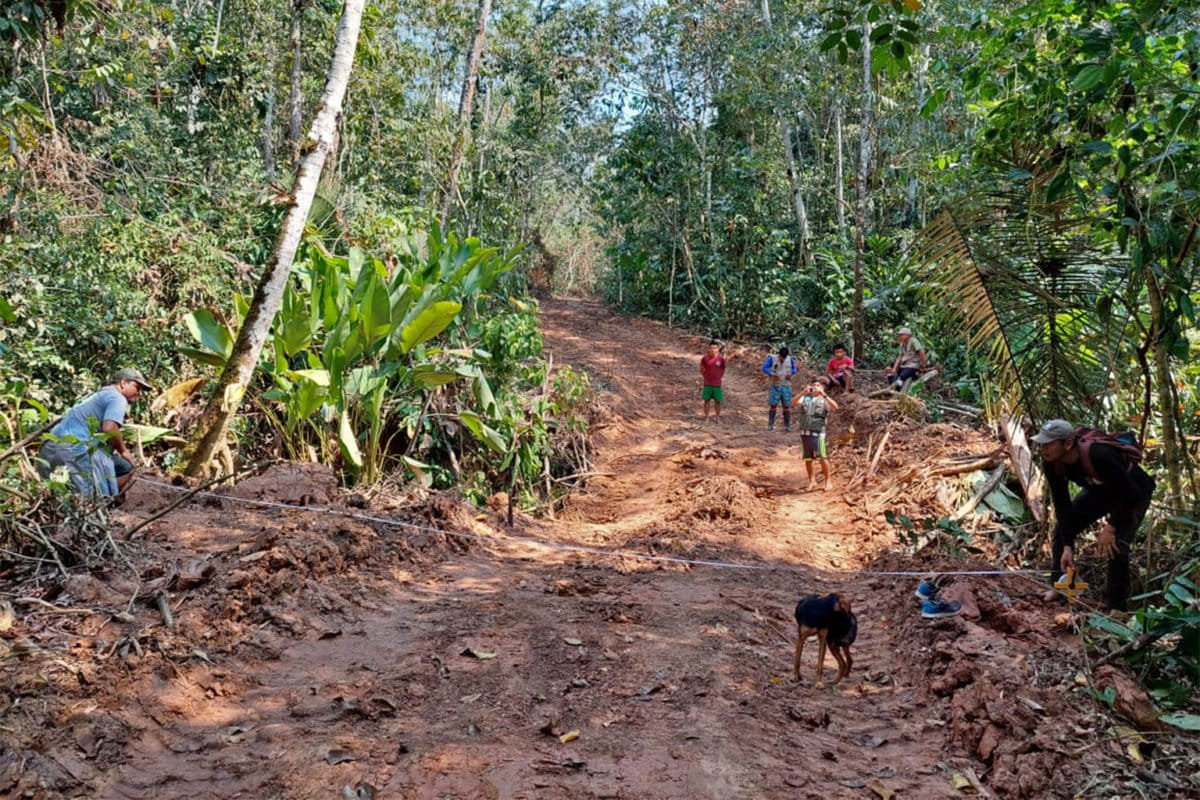 As illegal logging route in Peru nears Brazil, Indigenous groups warn