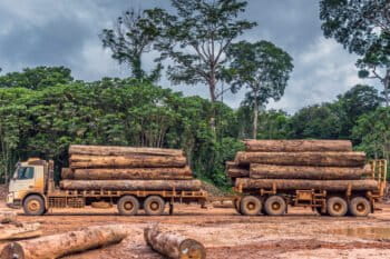 Banner image: A truck carries logs cut from the Amazon Rainforest in the state of Rondônia. Image courtesy of Vicente Sampaio/Imaflora.