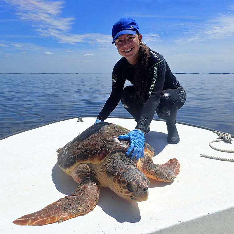 Turtle Power! LED fishing nets keep out turtles.