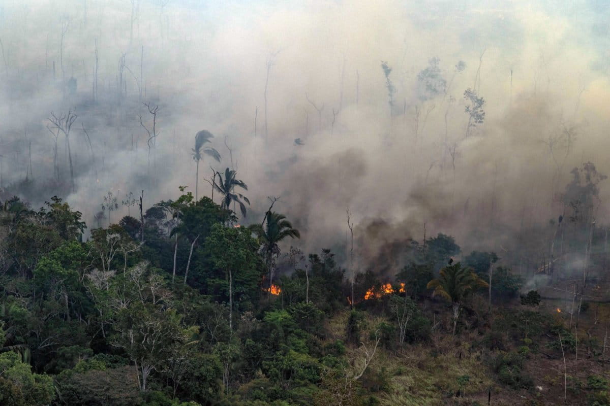 Aerial view of an area in the Amazon deforested for the expansion of livestock, in Porto Velho, Rondônia state. Overflights organized by the Amazon in Flames Alliance -- Amazon Watch, Greenpeace Brazil and the Brazilian Climate Observatory -- between September 13th and 17th documented land use change and fire around the cities of Porto Velho, Rondônia, and Lábrea, Amazonas. Photo © Victor Moriyama / Amazônia em Chamas (Amazon in Flames Alliance)