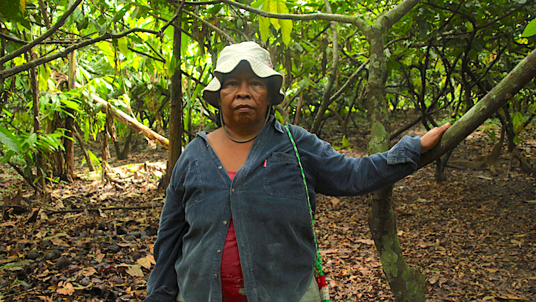 Forest, Water, and Struggle: Environmental Movements in Costa Rica