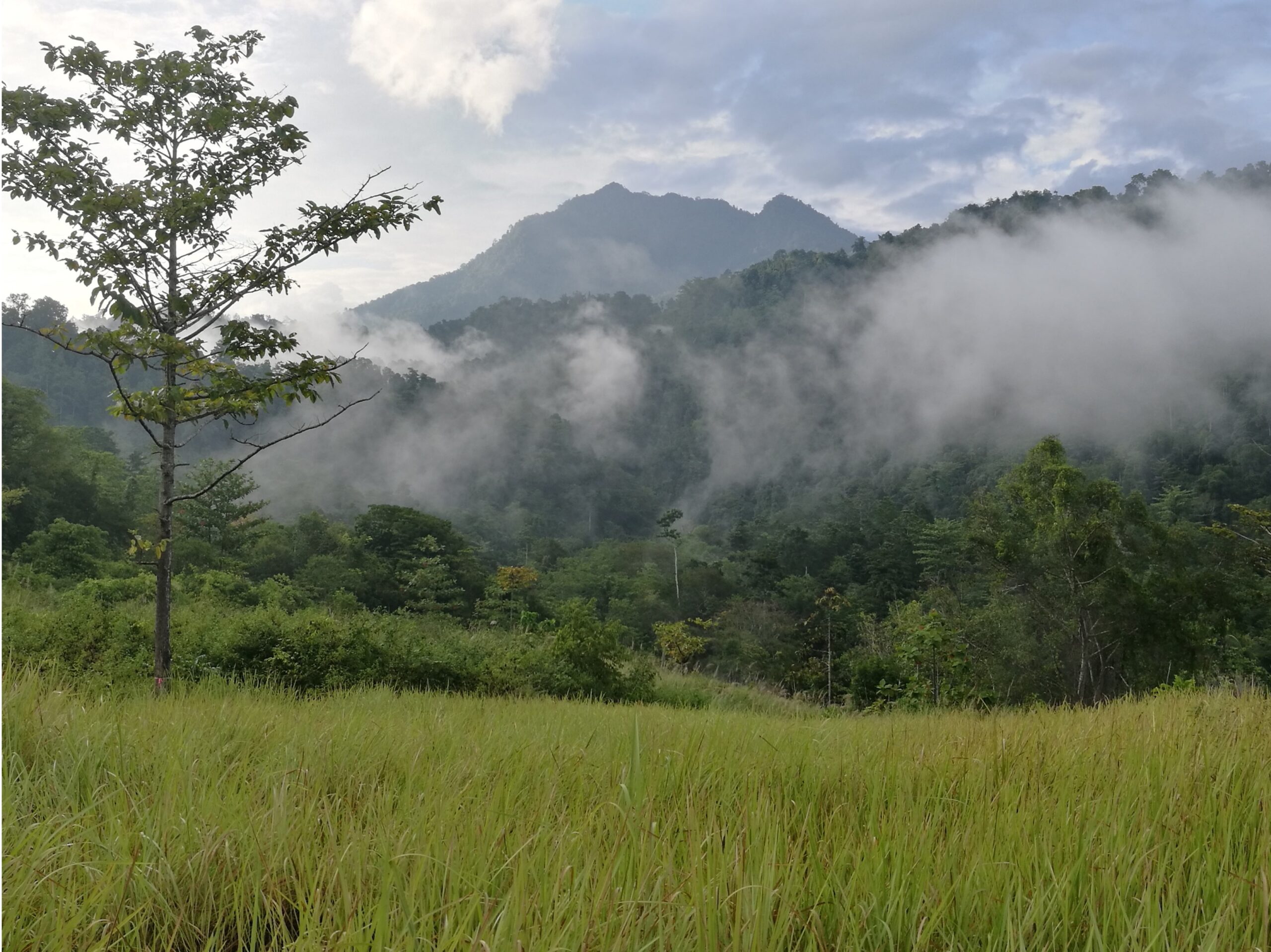 Gorontalo