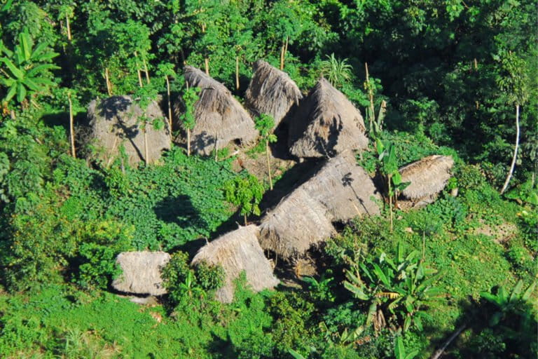 Uncontacted indigenous tribe