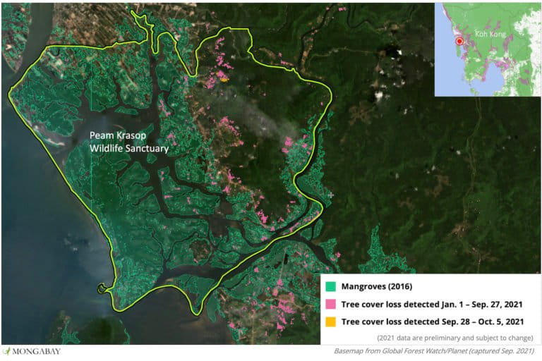 Satellite data from the University of Maryland show tree cover loss has increased in Peam Krasop Wildlife Sanctuary in 2021.