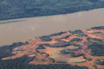 Indonesia-Palm Oil