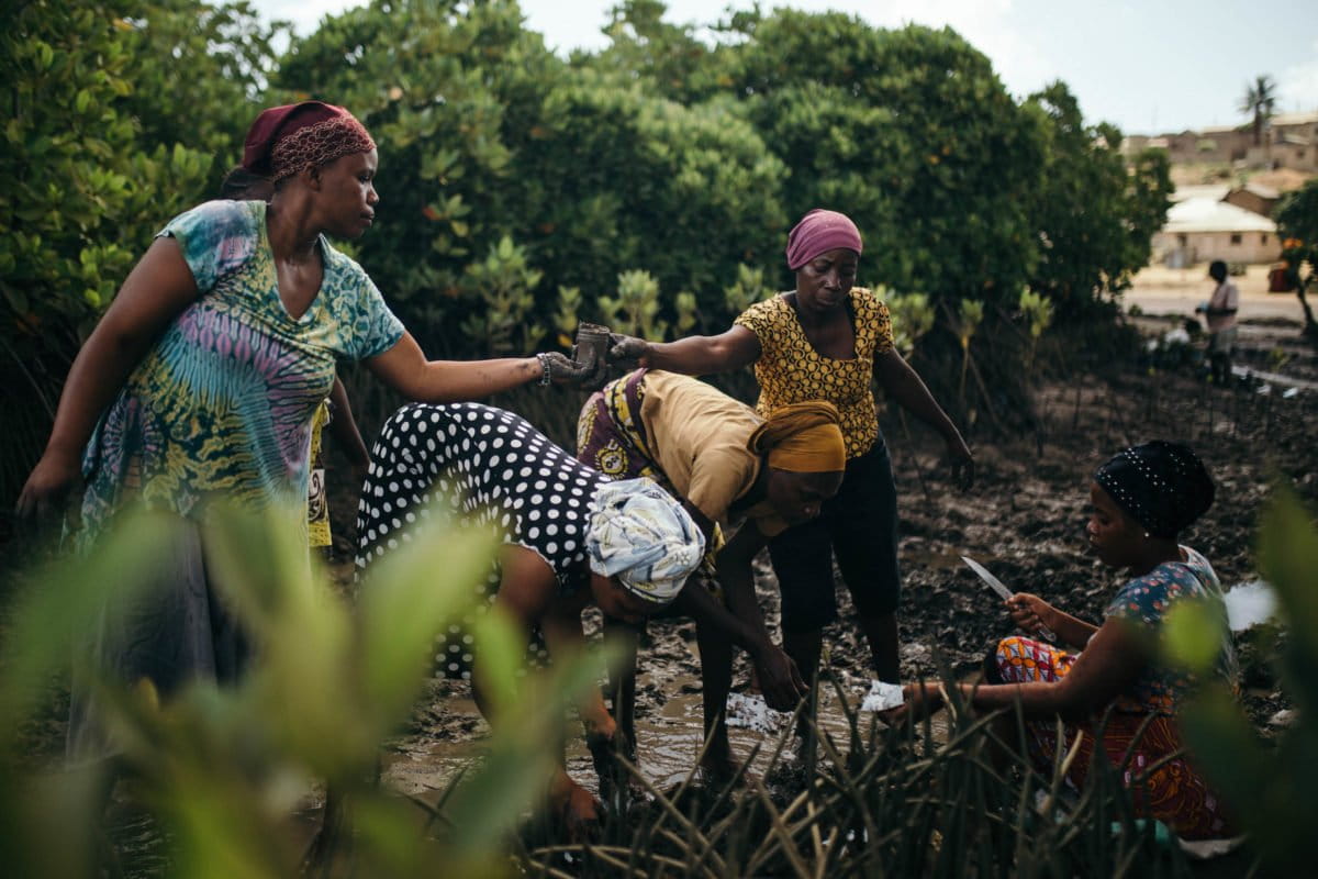 Planting mangroves at Junda village, near Mombasa, Kenya. Image by Kang Chun Cheng.