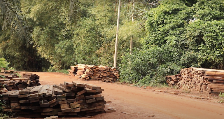 Timber Forestry Logger Logging Tank Top