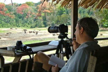 WCS President and CEO Dr. Cristián Samper observes forest elephants from an observation tower at the Dzanga Bai research site in the Central African Republic. Photo: Elizabeth Bennett/WCS.