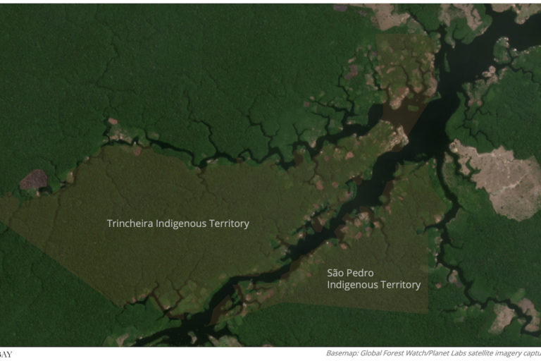 Satellite imagery shows fresh clearings carved from the forest in and around Trincheira and São Pedro Indigenous territories. 