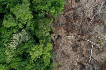 Deforestation in Borneo. Photo credit: Rhett A. Butler / mongabay