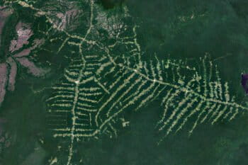 NASA Landsat image showing fishbone deforestation along roads in Sao Joao da Baliza, Roraima, Brazil in 2021.