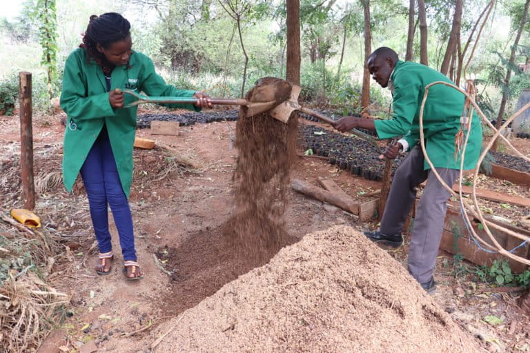 For Kenyan farmers, organic fertilizer bokashi brings the land back to life