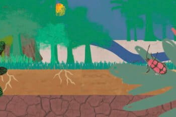 Representative animation of the soil formation process