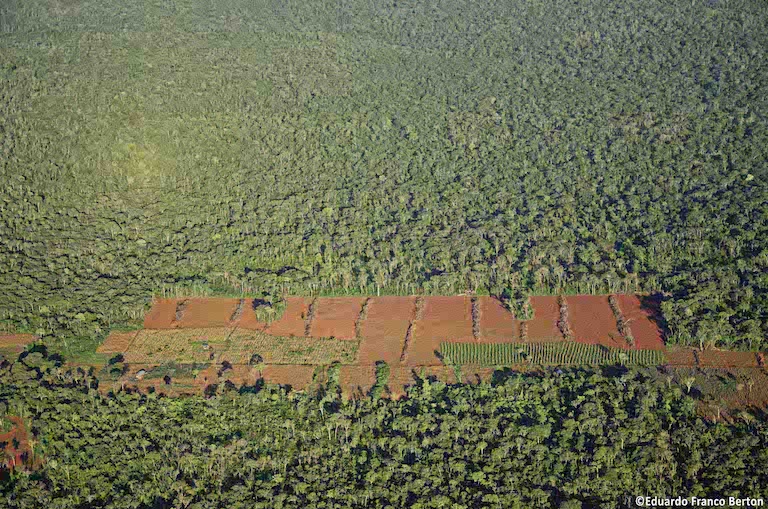 Deforestation in Bajo Paraguá Municipal Protected Area. Image by Eduardo Berton for Mongabay.