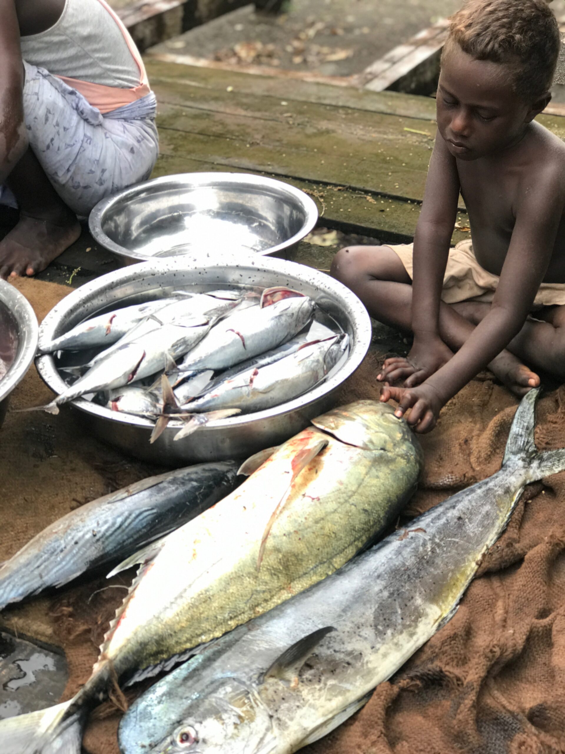 Fish catch, Solomon Islands