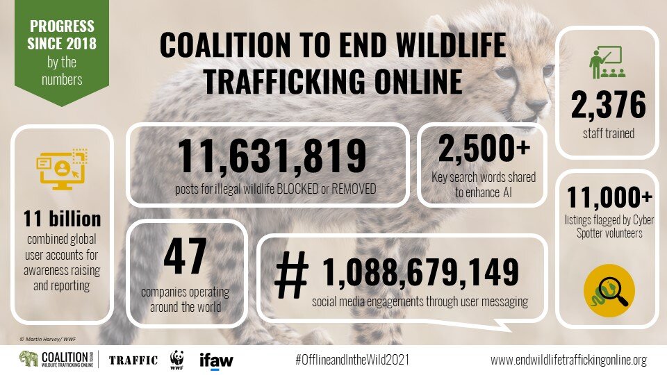 In wildlife traffickers, the internet finds a cancel target everyone agrees  on