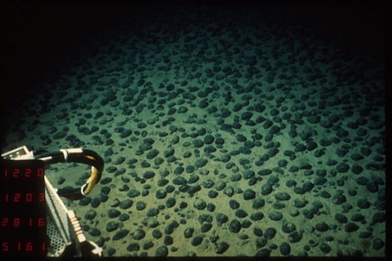 A field of polymetallic nodules in the Pacific Ocean.