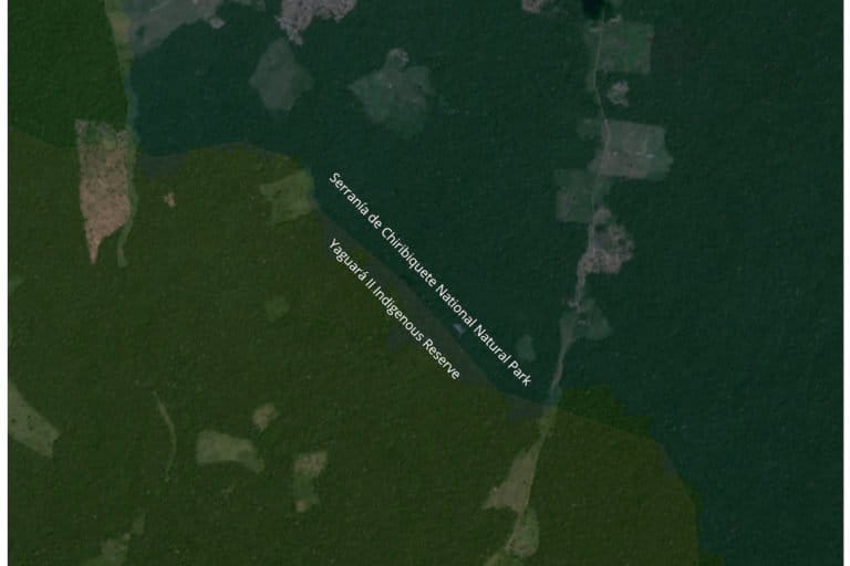 Satellite imagery shows a road and associated deforestation in Yaguará II Indigenous Reserve and Serranía de Chiribiquete National Natural Park.