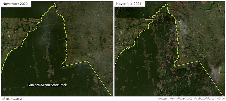 Satellite imagery from Planet Labs shows clearings proliferated in Guajará-Mirim State Park in 2021.