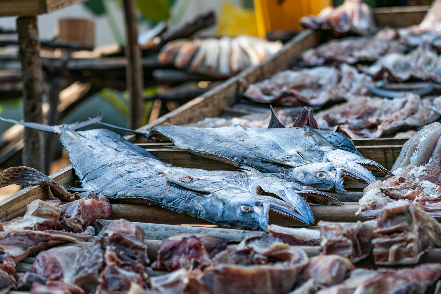 Une nouvelle version de la nasse à poisson pour limiter l'impact