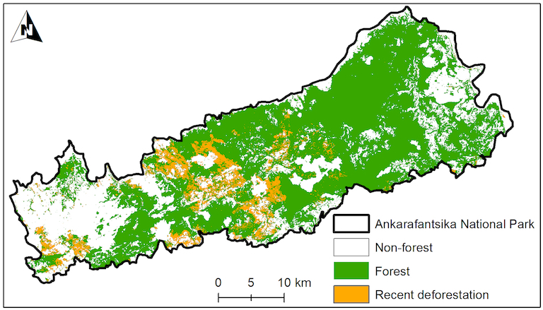 Recent deforestation (occurring since Sept. 2021) has been concentrated in the southwestern portion of Ankarafantsika National Park. Image from Schüßler et al. unpublished, preparing submission.